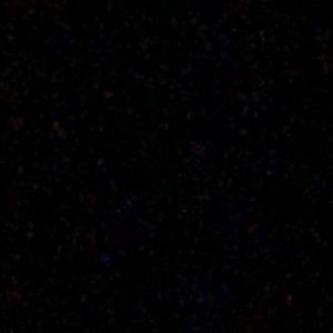 Meet your Posher, Jack